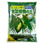 花ごころ 観葉植物の土 マグネシウム配合 12L