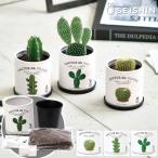 栽培セット 栽培キット サボテン 聖新陶芸 カクタスdeカクタス GD-930 聖新陶芸 栽培セット 栽培キット サボテン 簡単 初心者 育てやすい おすすめ かわいい