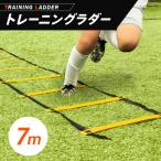 トレーニング ラダー 6ｍ プレート 12枚 7m 13枚 収納袋付き 練習 器具 サッカー フットサル 野球 陸上 スポーツ トレーニング 楽ロジ アットライズ atrise