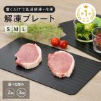 【クーポン】解凍プレート 急速解凍 急速冷凍 解凍 冷凍 時短 プレート 肉 魚 冷凍食品 刺身 自然解凍 粗熱取り 冷却 人気 おすすめ キッチン 便利グッズ