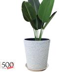 Glynislife プランター 大型 おしゃれ 受け皿付き 植木鉢 大型 軽量 プラスチック 屋内 屋外用 プランター 深型 高さ42cm 排水穴付