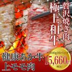 馬刺し ギフト あか牛 熊本 国産 和牛 焼肉 赤牛丼 10人前 1000g 100g 10パック 上モモ 食べ物 お中元 御中元 夏ギフト 送料無料 夏