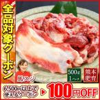 馬刺し 肉 熊本 国産 馬スジ 約500g 馬肉 ギフト 食べ物 おつまみ 熊本馬刺し専門店 母の日 父の日 ギフト