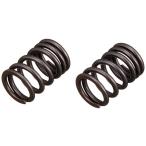 SP Takegawa клапан(лампа) комплект пружин ( 2 ) 00-01-0283