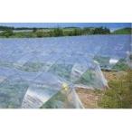  первый винил тоннель фигурная скобка 8*1500