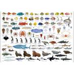  The * доступ внизу кровать аквариум. популярный человек английский язык аквариум A4