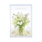  Frontier открытка . не 2 . серии HGS-474