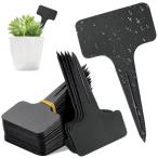  садоводство этикетка растения этикетка 60 листов ввод | большой T type 100 листов ввод | прямой линия type садоводство интерьер повторный использование возможность Mini табличка садоводство бирка огород модный ( большой T type 60 листов ввод )