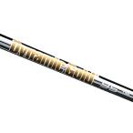 Truetemper( True Temper ) вал Dynamic Gold динамик Gold 95 железный вал подсчитывать #5 S200 Flex одиночный товар DG95IS5