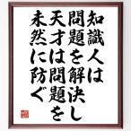 アルベルト・アインシュタインの名言「知識人は問題を解決し、天才は問題を未然に防ぐ」額付き書道色紙／受注後直筆