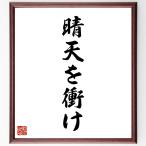 名言「晴天を衝け」直筆書道色紙額／受注後直筆