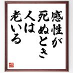 サミュエル・ウルマンの名言「感性が死ぬとき、人は老いる」手書き書道色紙額／受注後の毛筆直筆