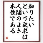 レオナルド・ダ・ヴィンチの名言「知りたいという欲求は、人間のよき本性である」額付き書道色紙／受注後直筆
