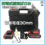 進化版 電動剪定ばさみ 充電式 剪定ばさみ 枝切り 枝切ばさみ 切断枝径30mm コードレス 軽量 剪定鋏 枝きりはさみ 電動ハサミ 庭木 園芸用 新品