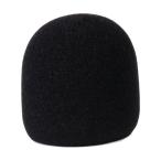 KC　ウィンドスクリーン 黒