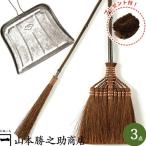 棕櫚箒箒セットちりとりほうき3点セ...
