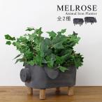 【MELROSE】Animal Iron Planter / 全2種 / 78315 　プランターボックス ポット インテリア インダストリアル