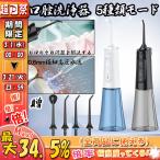 口腔洗浄器 ウォーターピック ジェットウォッシャー 300ML 口腔洗浄機 強弱切り替え IPX7防水 長い電池の寿命 USB充電式 歯垢除去 タンク家旅行のための携帯