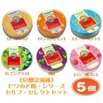 《京都念慈菴》 枇杷潤喉糖（ビワのど飴） 60g×５個★セルフ・セレクトセット★《台湾 お土産》