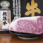 新潟県産 越後牛 サーロインブロック 1010ｇ