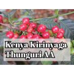 kenia сверло nya газ n Gris AA