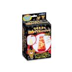 【おうちでできる！サイエンス&クラフトシリーズ】 フラスコで溶岩バブルをつくろう！（Item No:E29968）【ルミカ_LUMICA】