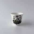  Англия Portmeirionbotanik сад свеча держатель cup керамика Vintage смешанные товары порт meli on BOTANIC GARDEN 98161