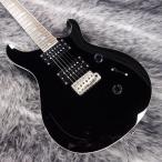 PRS SE Standard 24