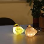  исцеление bird HEALING BIRD сопровождение bird лампа 