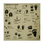 TRAIL HANKIEto Lux &amp;s кошка Tracks and Scat бандана 