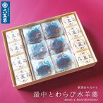 お中元 2025 和菓子 ギフト 父の日 プレゼント 六萬石最中 わらび水羊羹 2種14個 内祝い わらび餅 水羊羹 もなか お供え お祝い 手土産 誕生日 set-wa14