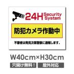 【防犯カメラ作動中】視線でドキ W400mm×H300mm 防犯カメラ看板 監視カメラ 作動中 監視中 24時間 録画中 屋外 camera-315