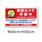 【防犯カメラ作動中】視線でドキ W600mm×H350mm 防犯カメラ看板 監視カメラ 作動中 監視中 24時間 録画中 屋外 camera-337