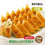 ショッピングぎょうざ 餃子 野菜たっぷり生餃子 60個(20個×3袋) ／ 送料込み（沖縄別途送料） にんにく不使用 野菜の旨味! 餃子工房 RON みまつ食品