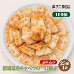 ショッピング餃子 群馬県産キャベツの一口餃子 100個(25個×4袋)／ 送料込み  (沖縄別途送料） ぐんまの恵み 群馬県 の食材を中心に使用  ぎょうざ  餃子工房 RON みまつ食品