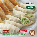 群馬県産にらの餃子 60個 (15個入×4袋) / 送料込み (沖縄別途送料)冷凍食品 期間限定 ぐんまの恵み 群馬県の食材 ふちな菜園 餃子工房 RON みまつ食品