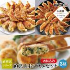 【 お歳暮 冬 ギフト 】 直営店おススメセット／ 送料込み（沖縄別途送料） 直営店シリーズ 人気の商品 餃子工房 RON みまつ食品