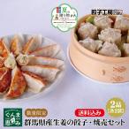 【 お中元 夏 ギフト 】 群馬県産生姜の餃子・焼売セット/送料込み(沖縄別途送料)ぐんまの恵み 爽やかな味わいの群馬県産生姜使用 餃子工房 RON みまつ食品