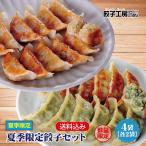 夏季限定 餃子セット/ 送料込み (沖縄別途送料) ぎょうざ 冷凍食品 期間限定 夏季限定 最終販売 群馬県産 にんにく 熊本県産 しそ 餃子工房 RON みまつ食品