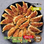 餃子 餃子工房RONの特製ぎょうざ 60