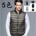 タイオン インナーダウン ベスト ビジネス メンズ インナーダウンベスト 秋 冬 秋冬 キャンプ フェス ベスト 防寒 メンズ 秋冬