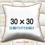 ヌードクッション　30ｘ30ｃｍ　本体　中材　中身　手芸用　ハンドメイド　ディスプレイ　ミニ　30×30cm
