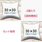 ヌードクッション　30ｘ30ｃｍ　本体　中材　中身　手芸用　ハンドメイドカバー用　30×30cm　２個セット販売