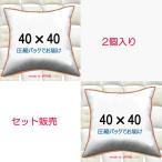 ヌードクッション　40×40cm　本体　中材　中身　クッションカバー用　ソファークッション 40ｘ40　２個セット販売