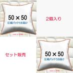ヌードクッション クッション 中身 背もたれクッション ２個セット 本体 中材  クッションカバー 用　ソファークッション 50×50