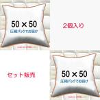  nude cushion cushion contents 2 piece set body middle material pillowcase for sofa cushion 50×50