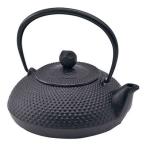 池永鉄工 鉄瓶 宝珠 ミニ 約0.6L