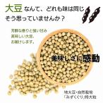 2024特大粒 地大豆 200g x 3袋 自然栽培