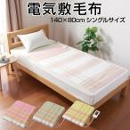 電気敷毛布 敷き 毛布 140×80cm シングルサイズ 丸洗い ダニ退治 電気毛布 電気敷き毛布 椙山紡織 SUGIYAMA SB20S02 ピンク イエロー グリーン