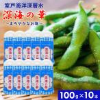 深海の華 100g×10本 塩 しお 食塩 卓